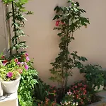 Apartman Rafaela Korcula Town