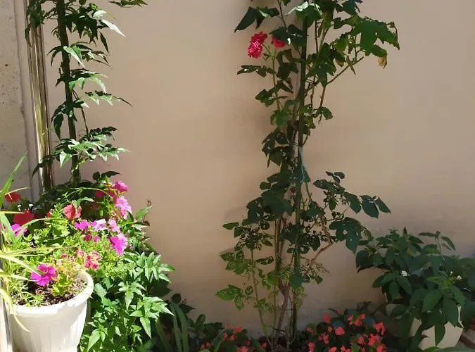 شقة Rafaela كورتْشولا